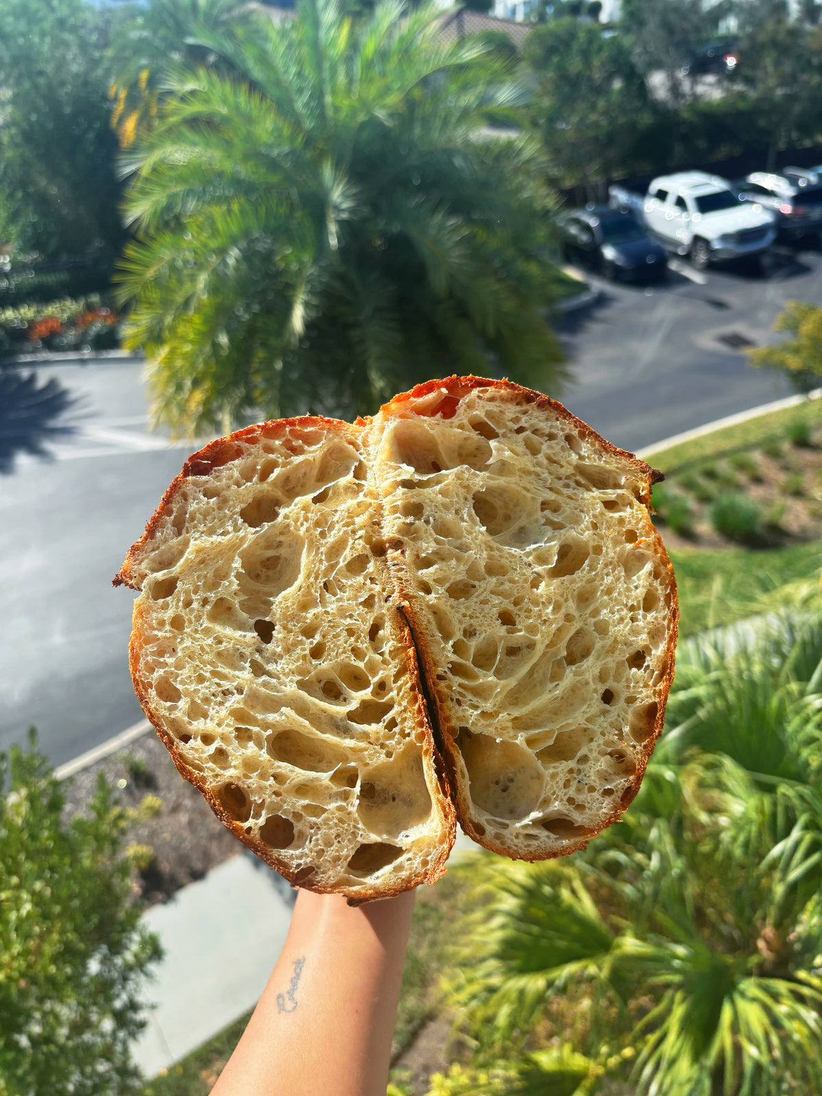 Pane Pugliese (Italian Sourdough bread)