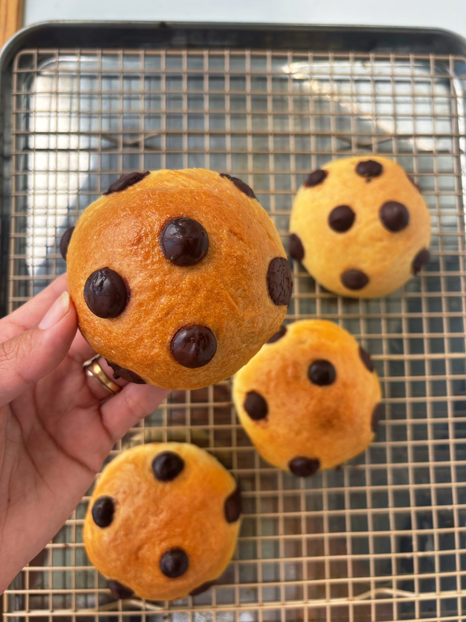 Pangoccioli