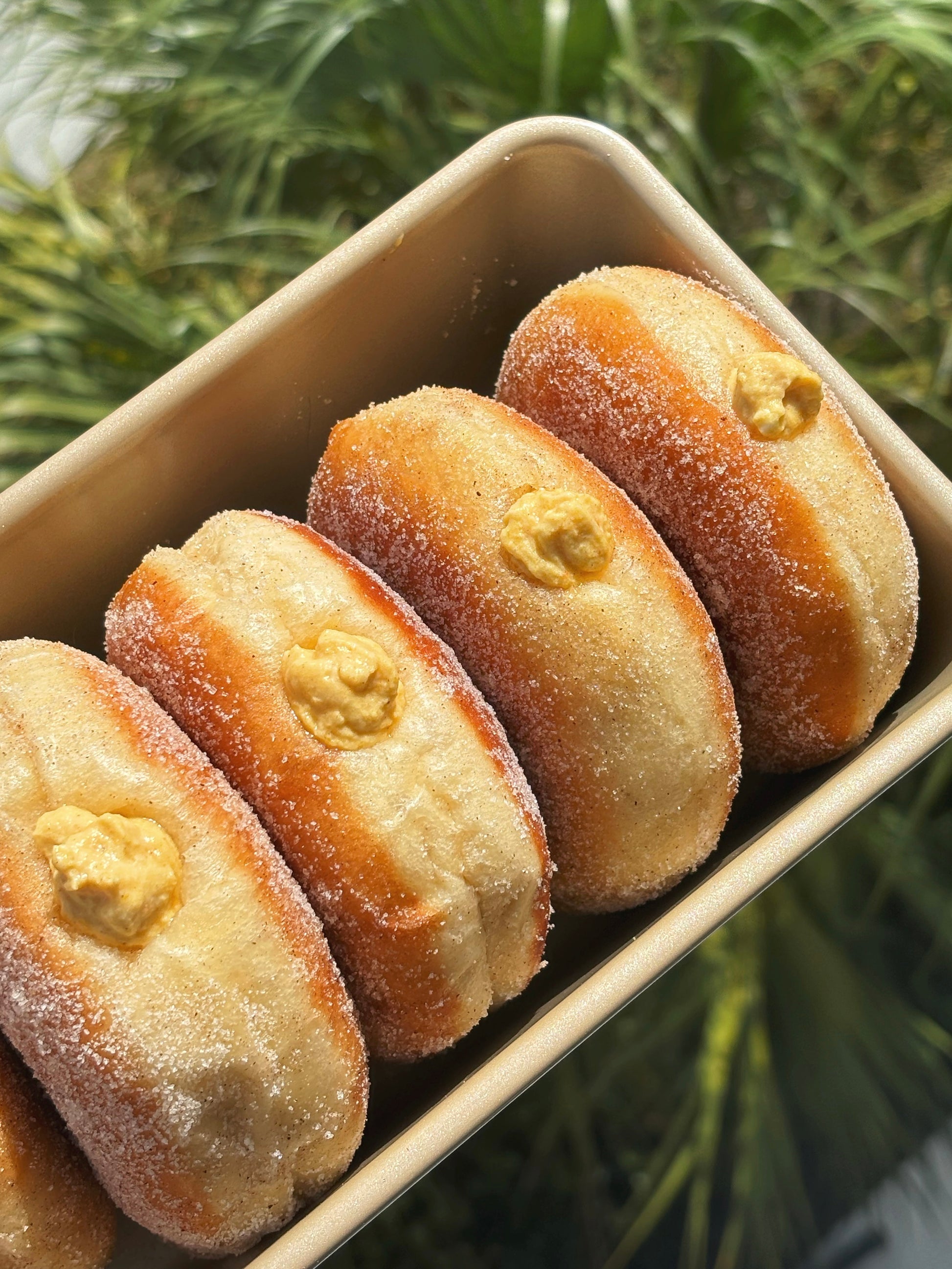 Pumpkin Bomboloni (Donuts)