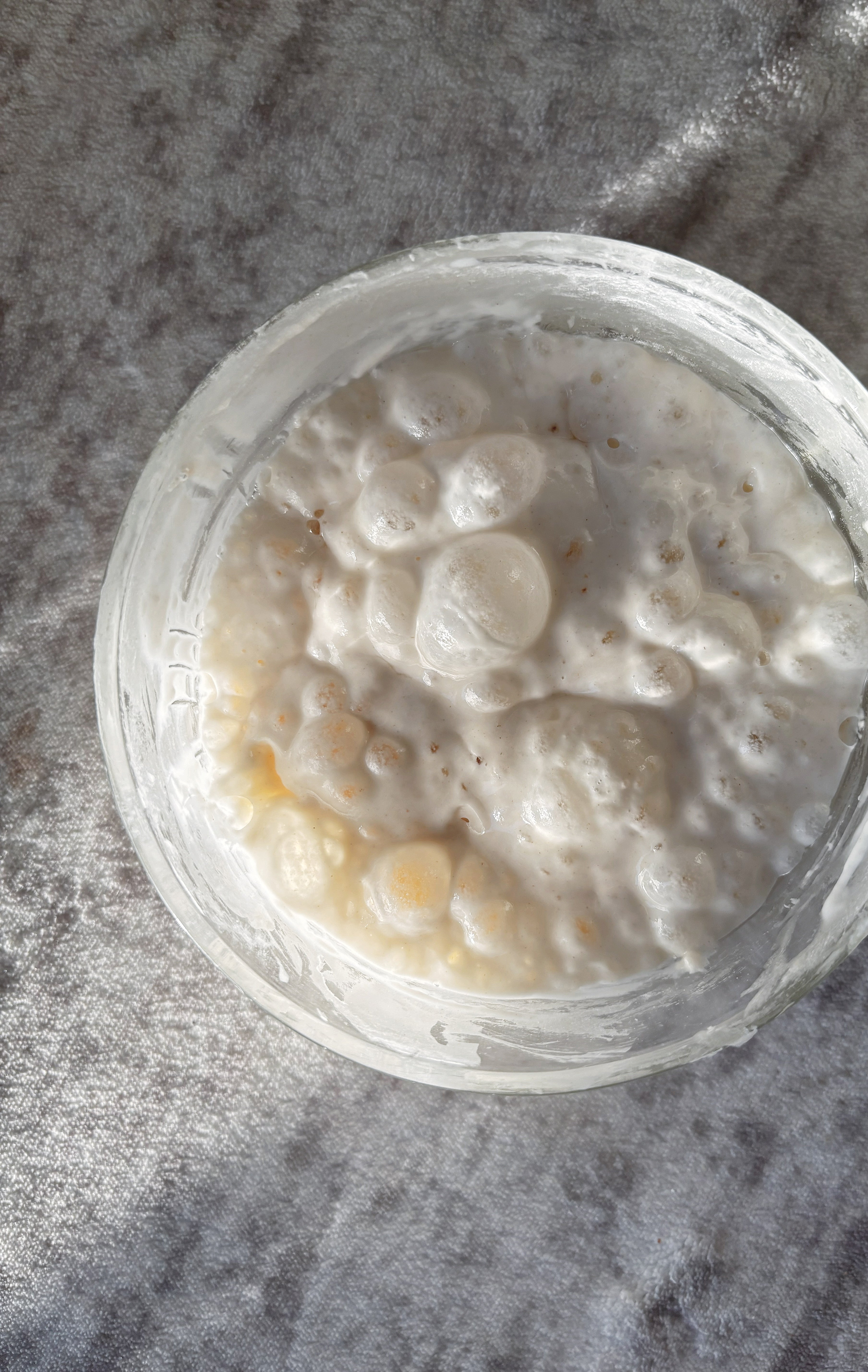 Italian sourdough starter