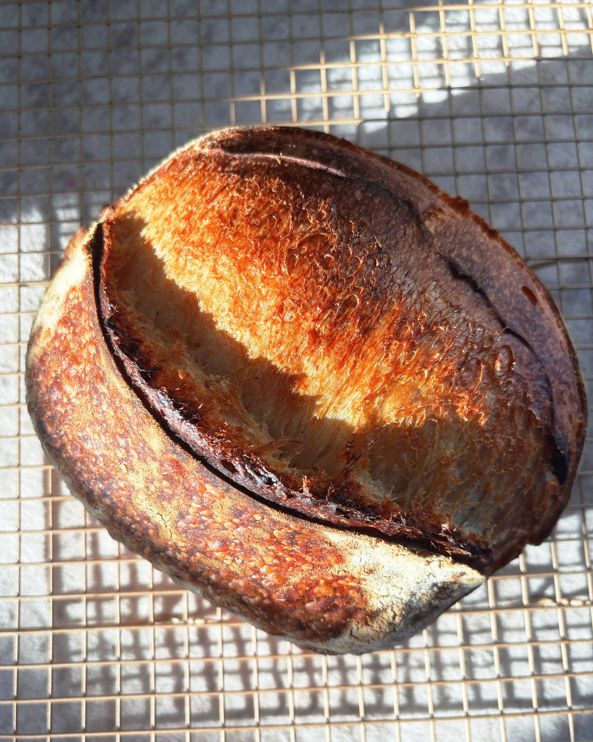Pane Pugliese (Italian Sourdough bread)
