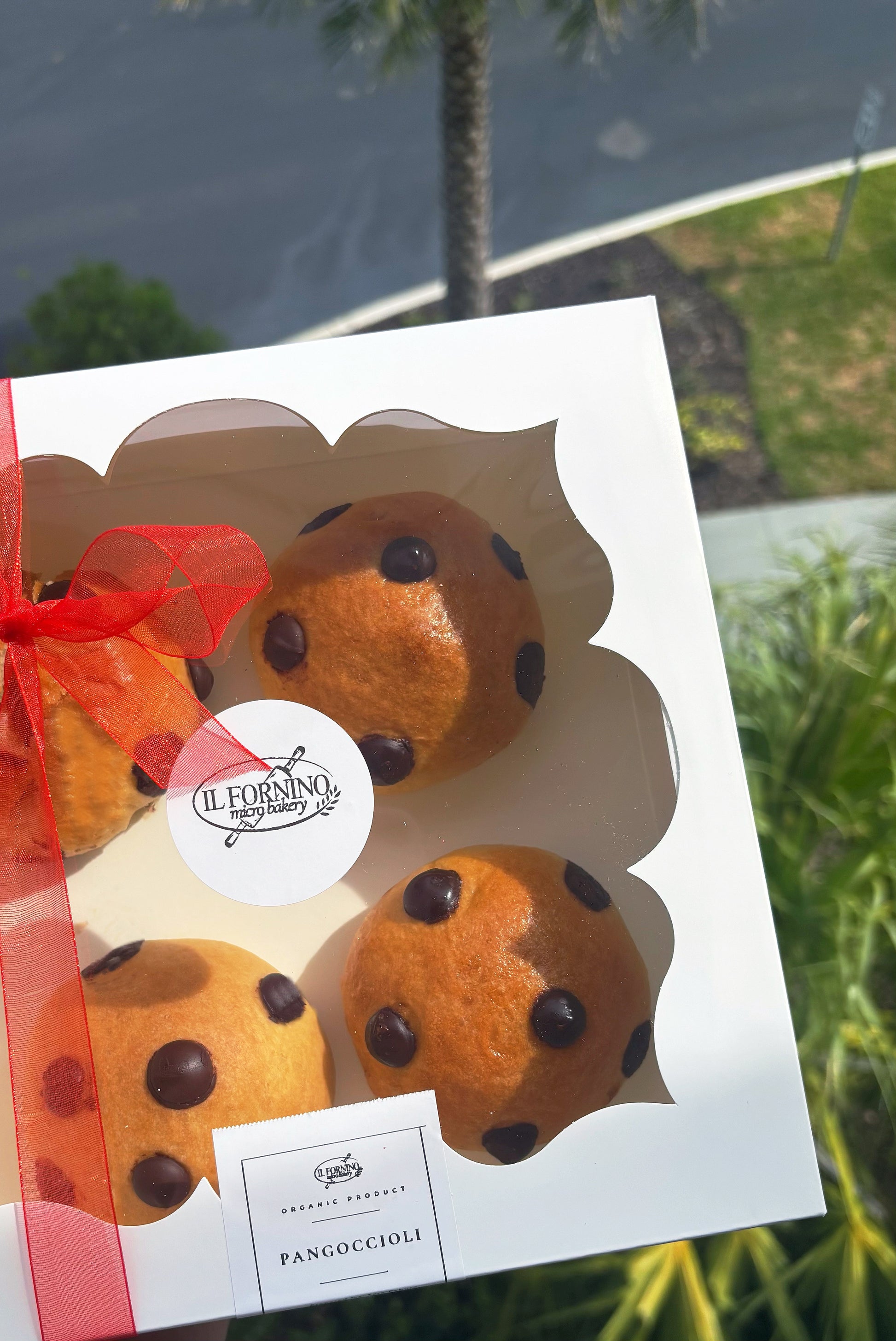 Pangoccioli