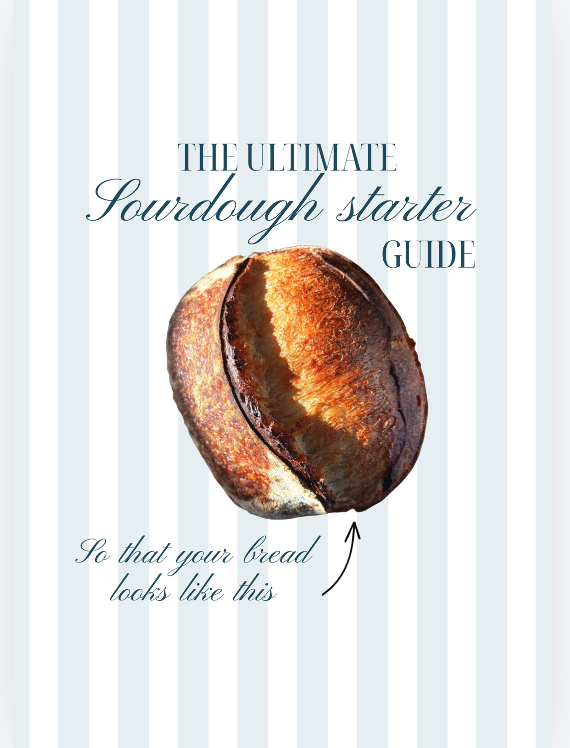 The Ultimate Guide to a Super Strong Sourdough Starter