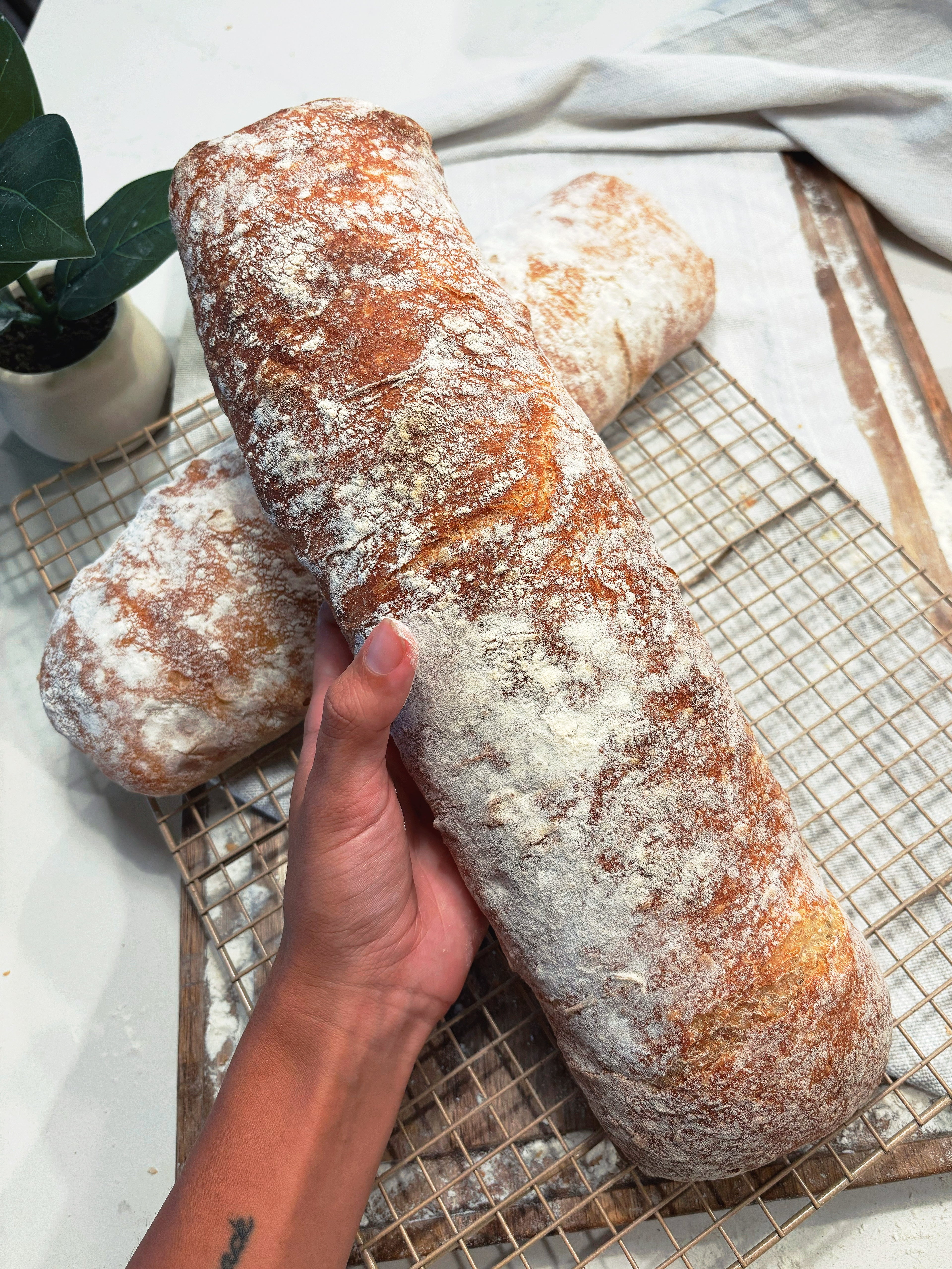 Ciabatta