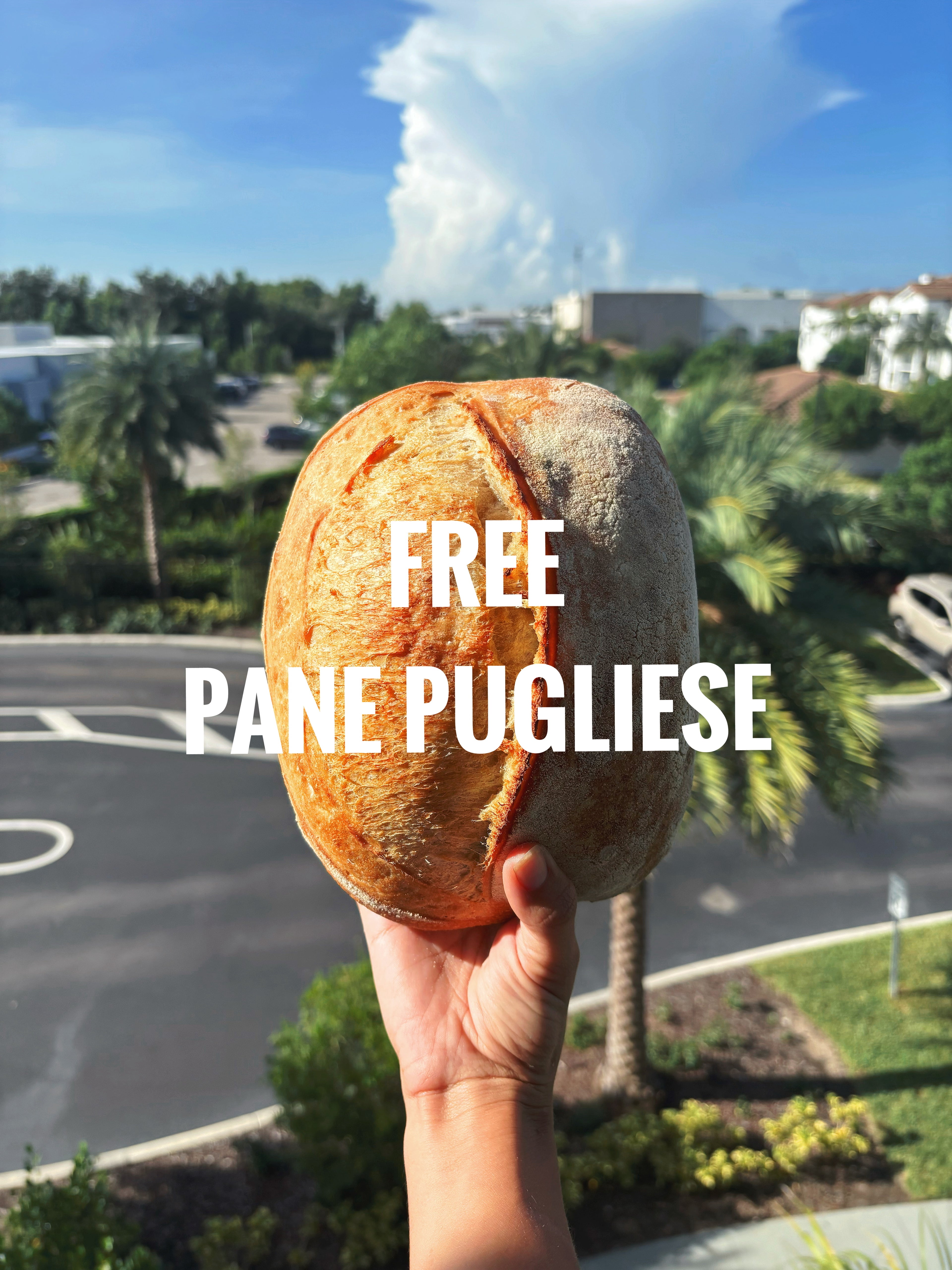 Free Pane Pugliese