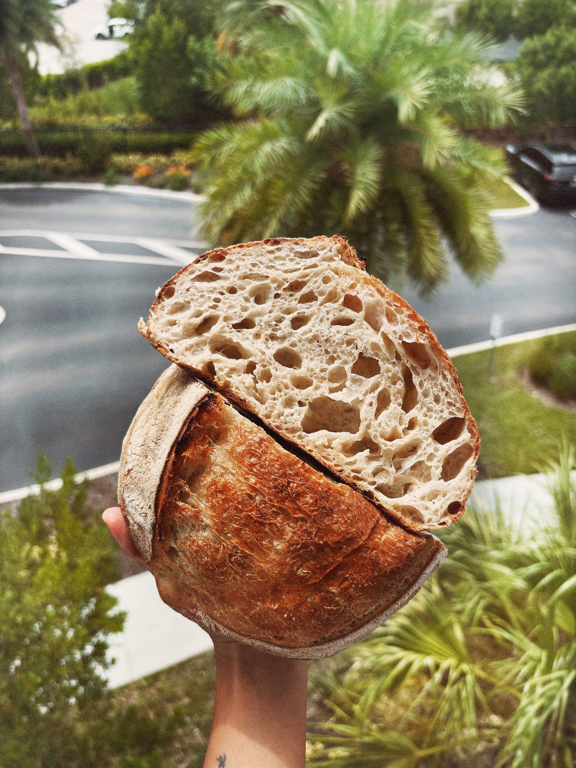 Pane Pugliese